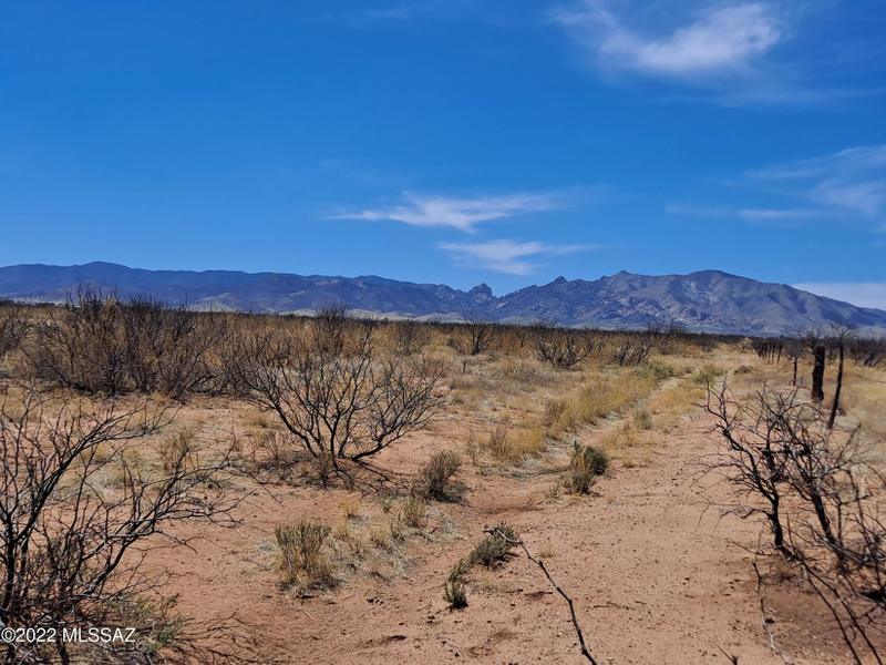 Pearce, Cochise County, AZ Homesites for sale Property ID: 416854094