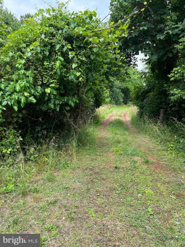 19836 YOUNGS CLIFF RD, STERLING, VA 20165 Land For Sale  MLS# VALO2050408