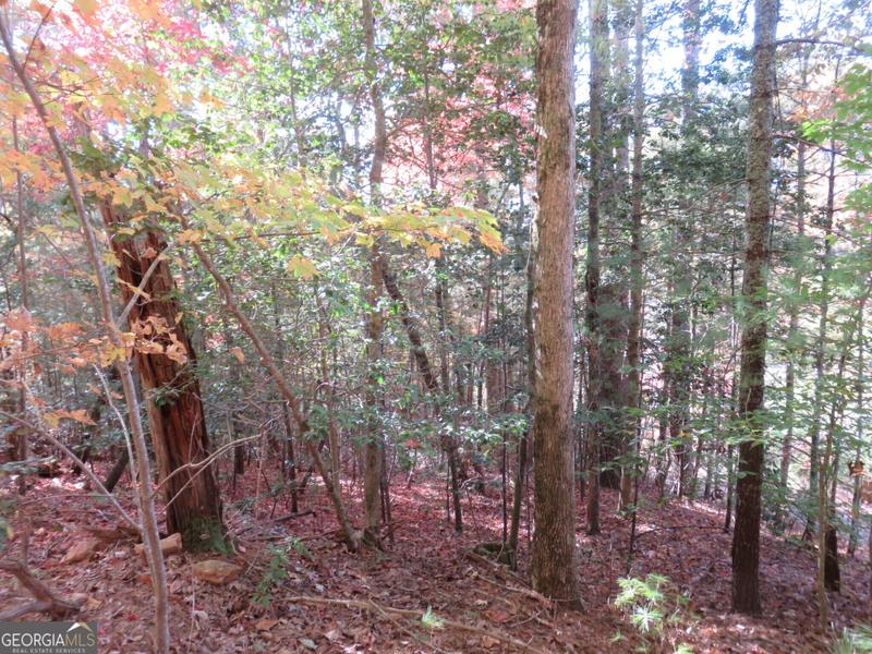 0 Corinth Church Road, Cleveland, GA 30528 for Sale