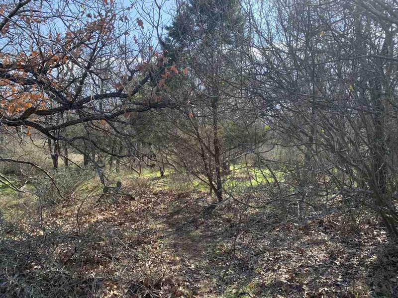 283-289 Aspermont Street, Kingsland, TX 78639 for Sale