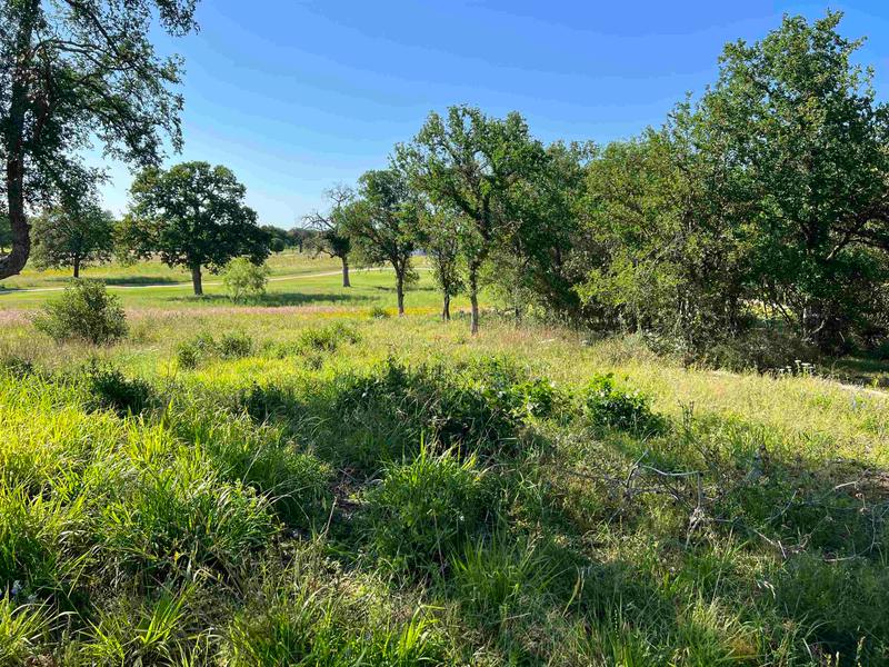 Tbd Skyview Drive, Kingsland, TX 78639 for Sale