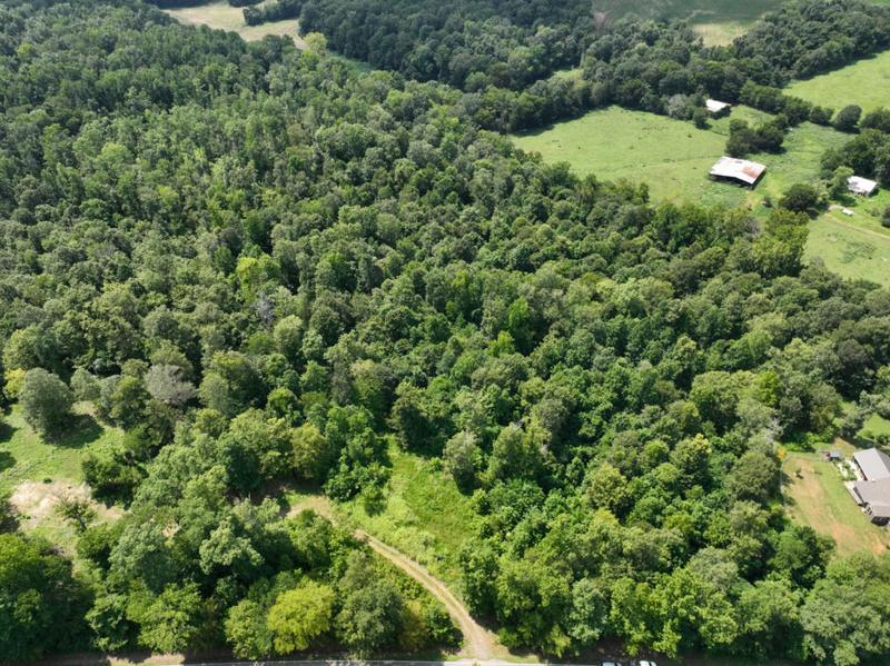 0 PATTERSON RD, Woodlawn, TN 37191 Land For Sale  MLS# 2580121
