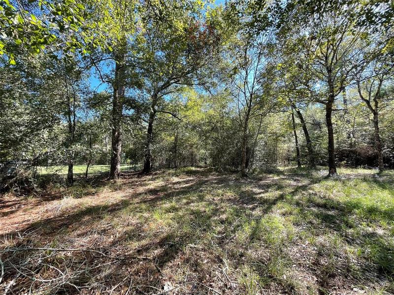 25399 Brushy Creek Drive, Hockley, TX 77447 for Sale