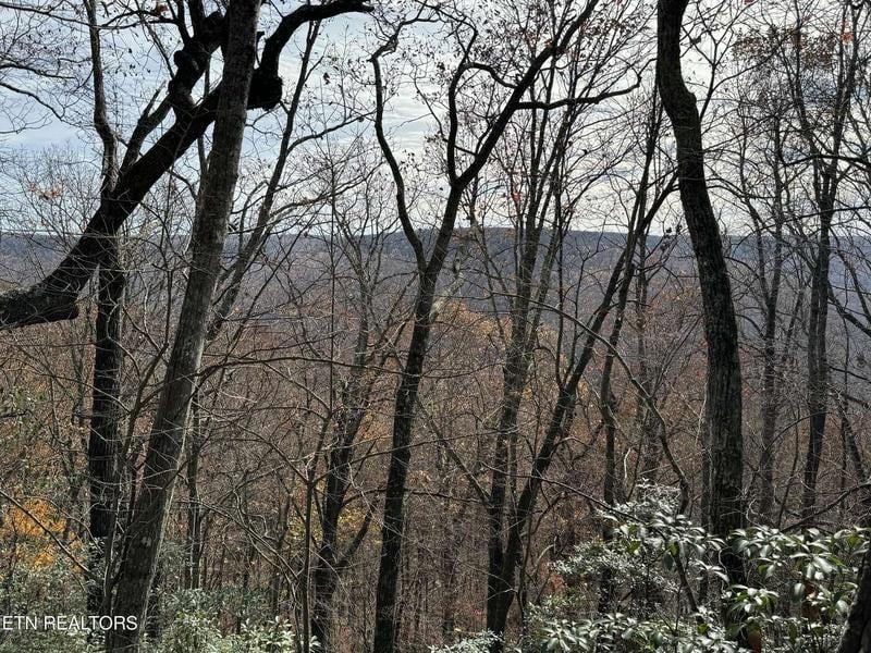 Cumberland Cove Rd, Monterey, TN 38574  608487286 for Sale
