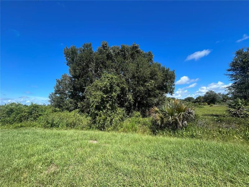 18391 Northwest 298th Street, Okeechobee, FL 34972 for Sale