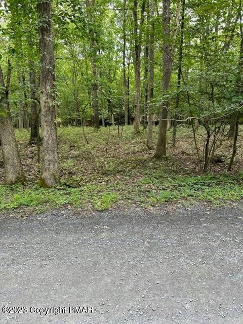 RED FOX TRAIL, East Stroudsburg, PA 18302 Land For Sale  MLS# PM-109047