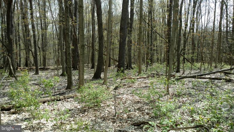 0 Hollow Horn Road, Pipersville, PA 18947 for Sale