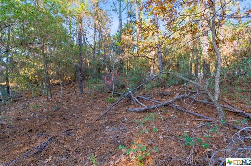 TBD Hekili Drive, Bastrop, TX 78602 for Sale