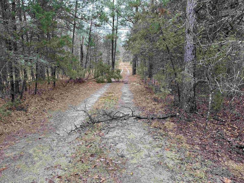 Bismarck, Hot Spring County, AR Undeveloped Land for sale Property ID: 418690262