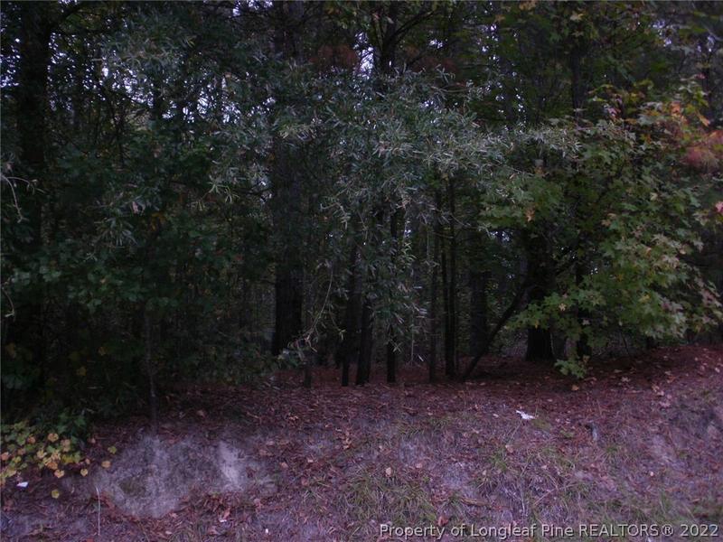 8 Pine State Street, Lillington, NC 27546 for Sale