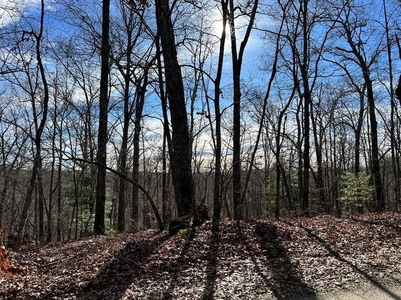 Mccaysville, Fannin County, GA Undeveloped Land, Homesites for sale Property ID: 418855823