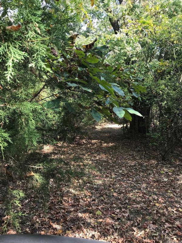 Ash Flat, Sharp County, AR Undeveloped Land for sale Property ID: 415081891