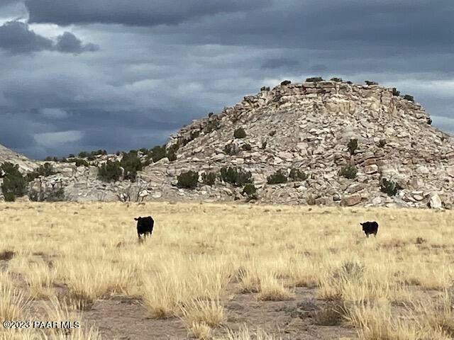 937 / 934 WOODLAND VALLEY RANCH, St. Johns, AZ 85396 Land For Sale  MLS# 1059685