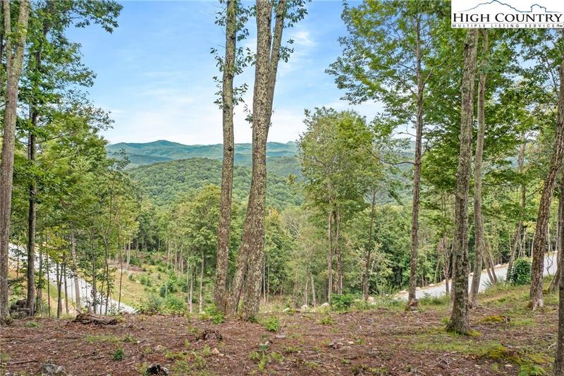 Wr-2 Wr-2 Sierra Trail, Elk Park, NC 28622 for Sale