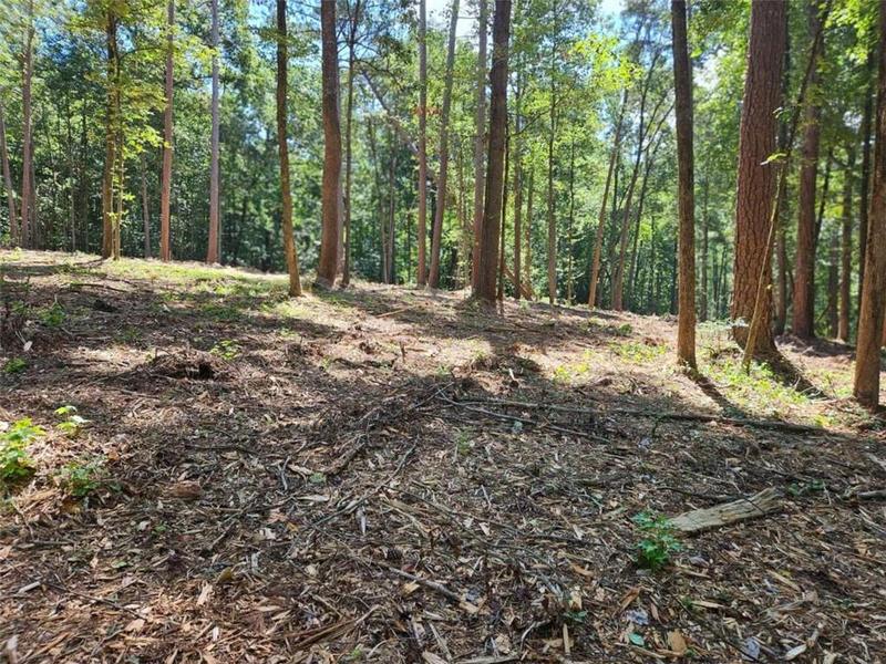 0 Whitetail Ridge Tract 2, Dawsonville, GA 30534 for Sale
