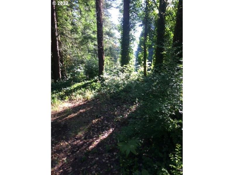 19609 Northeast Lucia Falls Road, Yacolt, WA 98675 for Sale