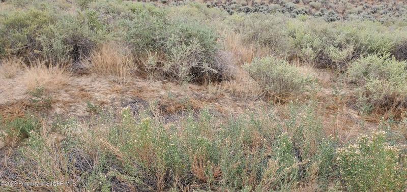 La Plata, San Juan County, NM Undeveloped Land, Homesites for sale Property ID: 418198178