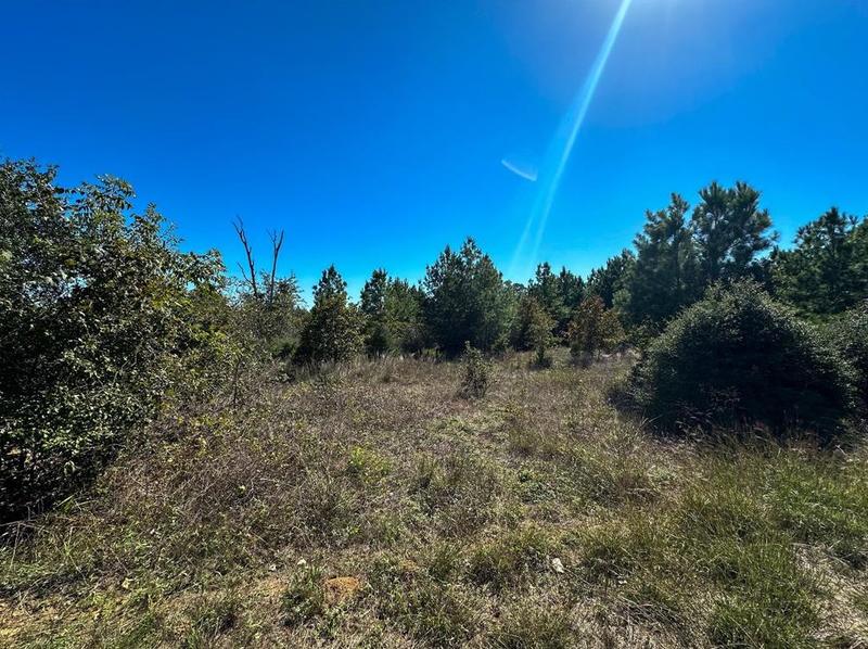 Lot 51 High Timbers Rd, Bastrop, TX 78602 - MLS 4694403 for Sale