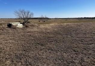 Tbd Lot #44 NW Couty Road 1290 Rd, Corsicana, TX 75110 - MLS 20529528 for Sale