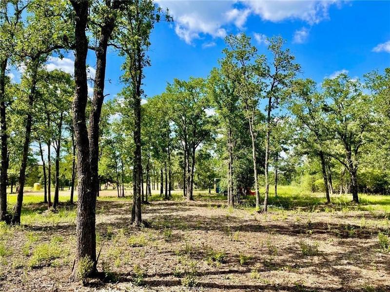 637 Beaver Ridge, Caldwell, TX 77836 for Sale