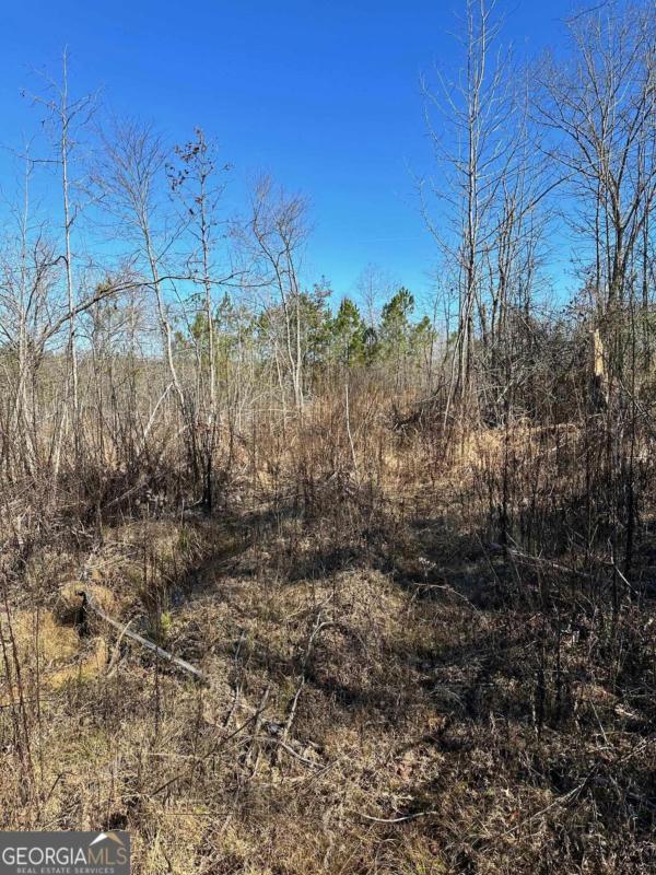 000 SATCHER ROAD # 2, Taylorsville, GA 30178 Land For Sale  MLS# 20170114