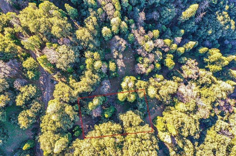 0 Near Mojave River Rd, Cedarpines Park, CA 92322 - MLS HD23230213 for Sale