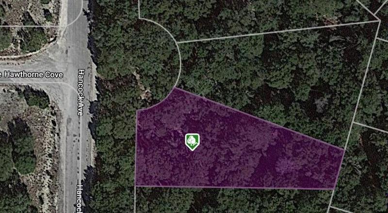 3301 Hanbird Ave, Lago Vista, TX 78645 for Sale