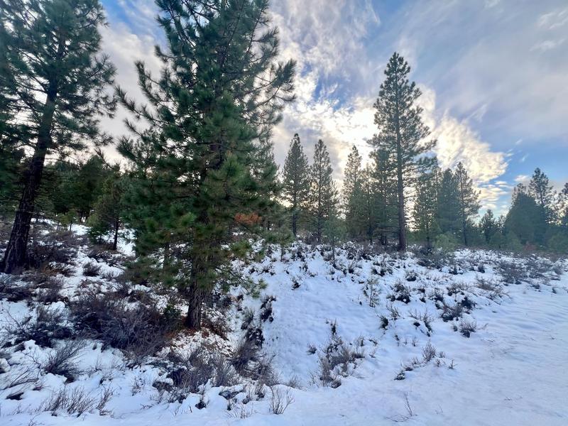 1121 Great Spirit, Clio, CA 96106 for Sale