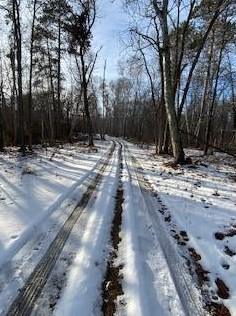Tbd Levi Ln, Crosslake, MN 56442 - MLS 6483286 for Sale