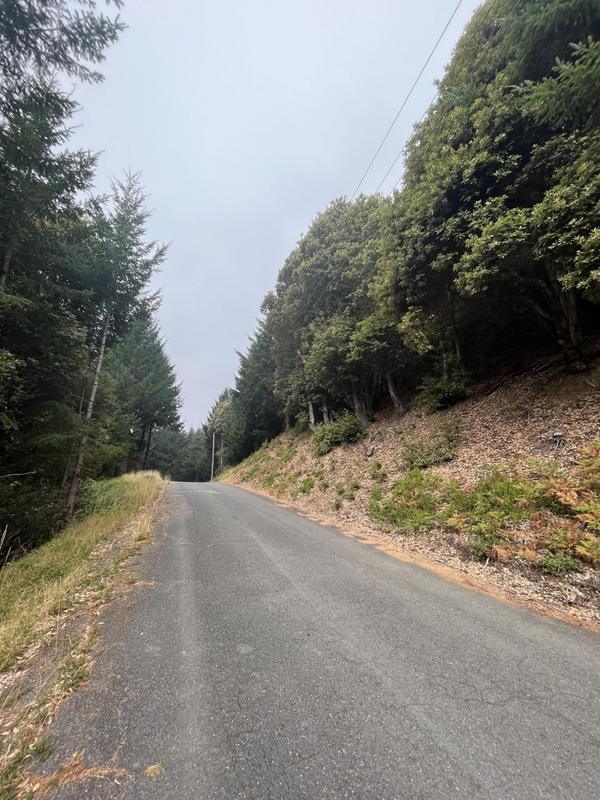 Whitethorn, Humboldt County, CA Undeveloped Land, Homesites for sale Property ID: 417801627