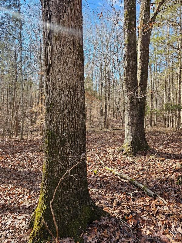 Concord, Cabarrus County, NC Undeveloped Land for sale Property ID: 418572726