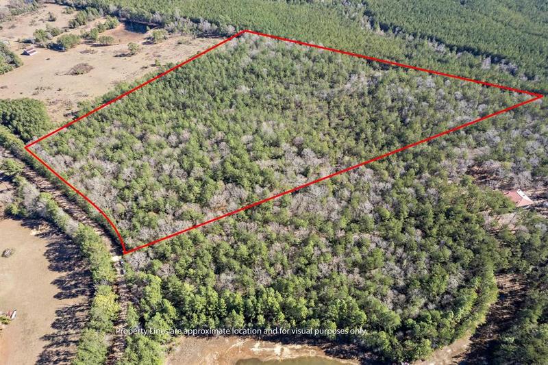 TBD COUNTY RD 4760, Warren, TX 77664 Land For Sale  MLS# 45797561