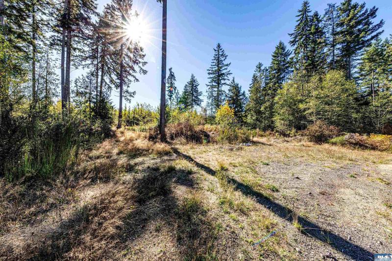 Port Angeles, Clallam County, WA Undeveloped Land for sale Property ID: 418015232