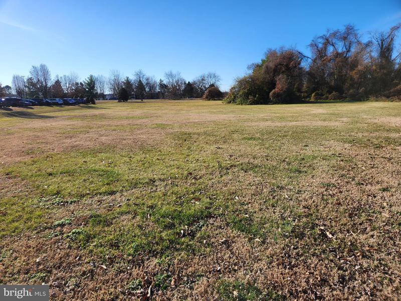 336 Belmont Avenue, Salisbury, MD 21804 for Sale