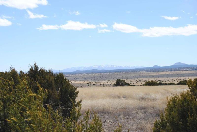 37 Lost Calf Lane, Magdalena, NM 87825  623660081 for Sale