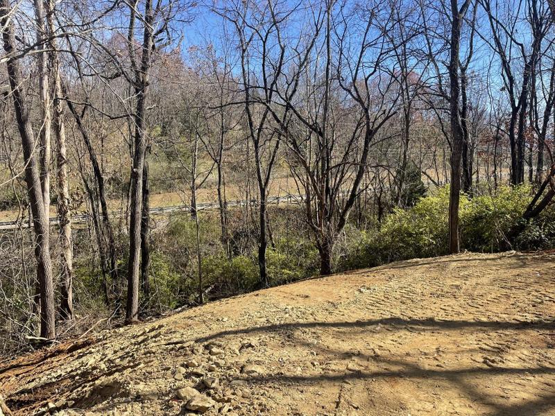 Elizabethton, Carter County, TN Undeveloped Land, Homesites for sale Property ID: 418301851