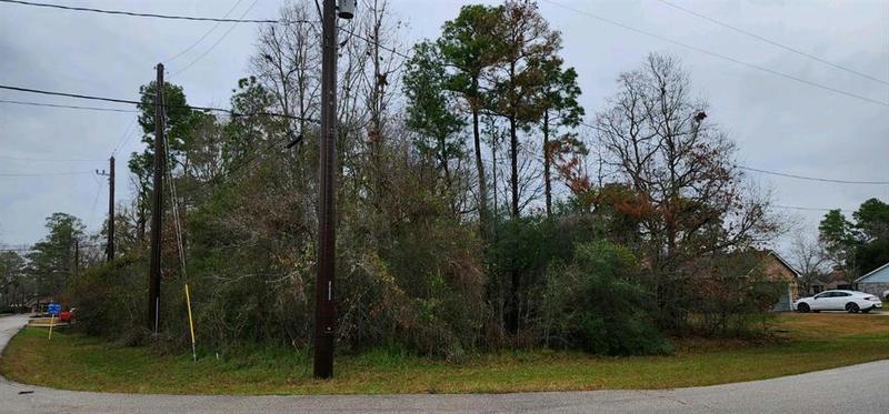 18419 BLUFFVIEW DR, Crosby, TX 77532 Land For Sale  MLS# 62441821