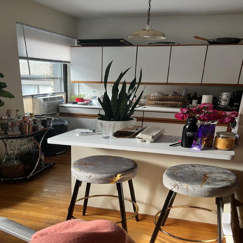 Rental listing in Lakeview, North Side. Contact the landlord or property manager direct about rental.