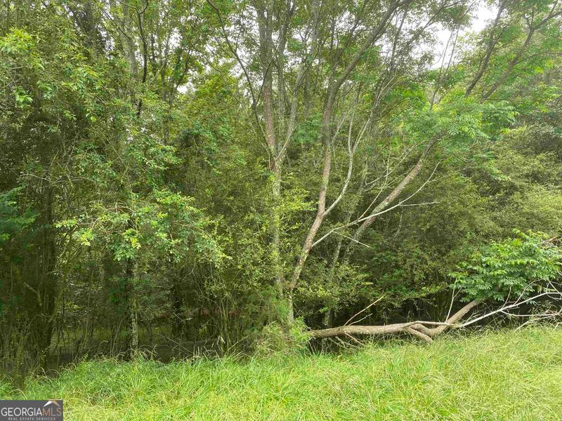 0 River Birch Lane, Colbert, GA 30628 for Sale