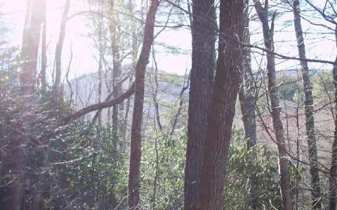 109 Big Pine Drive, Hiawassee, GA 30546 for Sale