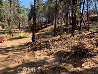 11345 CONCOW RD, Oroville, CA 95965 Land For Sale  MLS# SN24017274