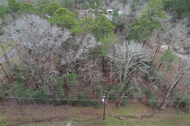 TBD Hidden Cove Dr Dr, Point Blank, TX 77364 for Sale
