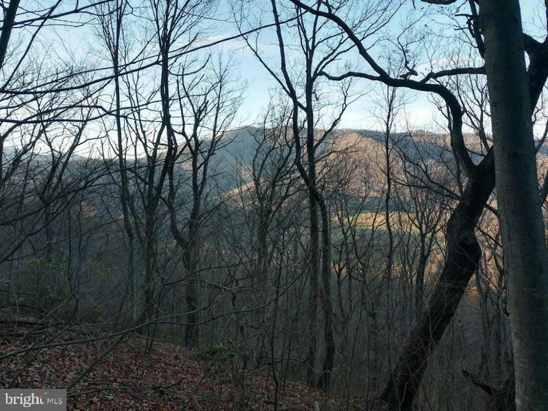 0 QUAKER RUN RD, MADISON, VA 22727 Land For Sale  MLS# VAMA2001504
