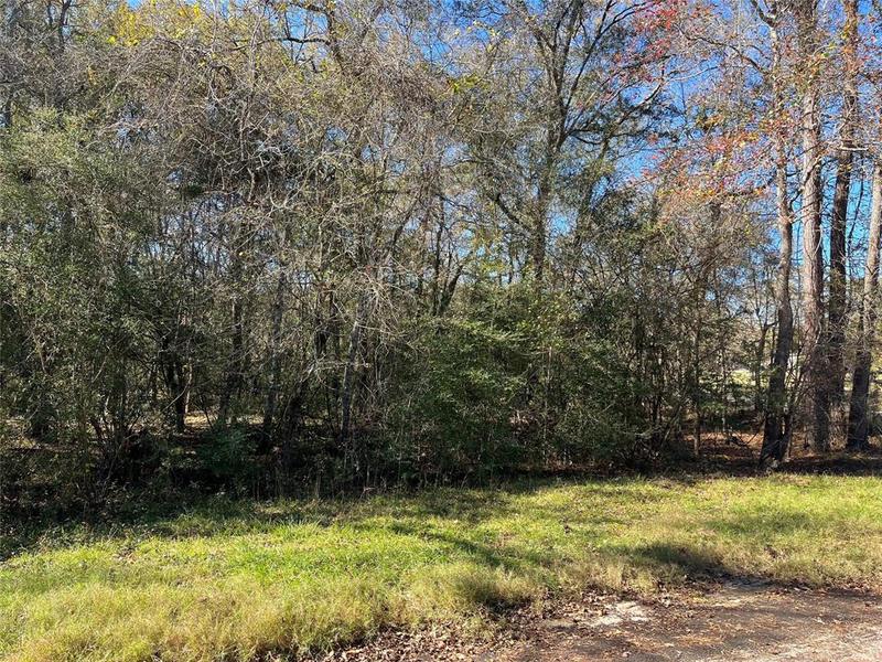 0 County Road 3998, Cleveland, TX 77328 for Sale