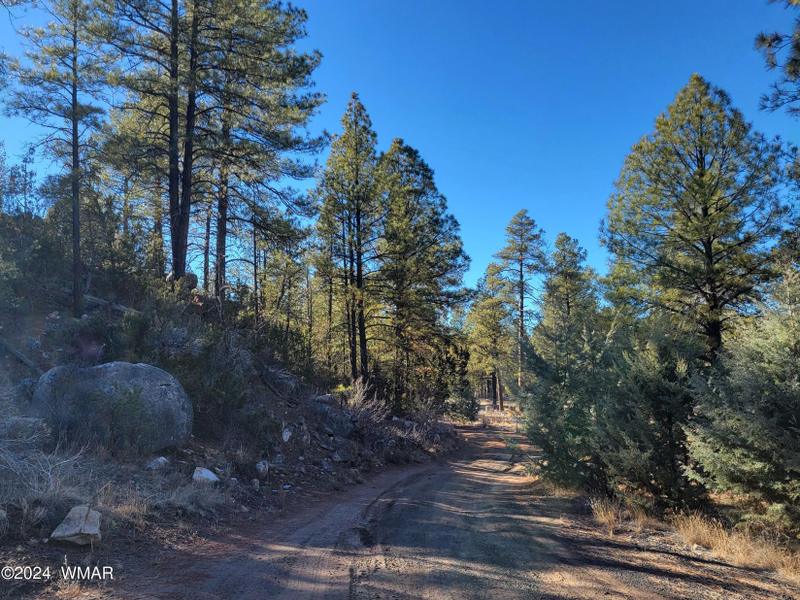 Heber, Navajo County, AZ for sale Property ID: 418779220