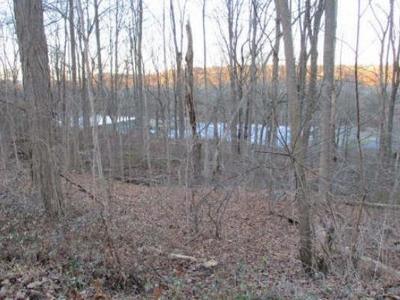 Stony Hill Rd for Sale
