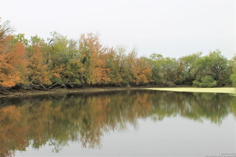 2387 CR 414, , TX 78113 for Sale