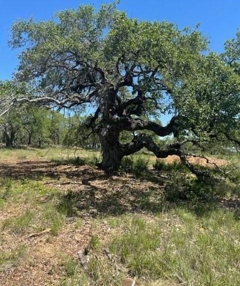 000 Whiskey Trail, Blanco, TX 78606 - MLS 3197794 for Sale