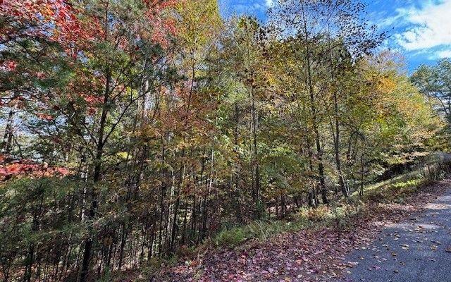 Suches, Fannin County, GA Undeveloped Land, Homesites for sale Property ID: 418041571