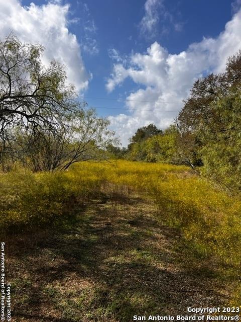 3920 FM 713, Lockhart, TX 78644 for Sale